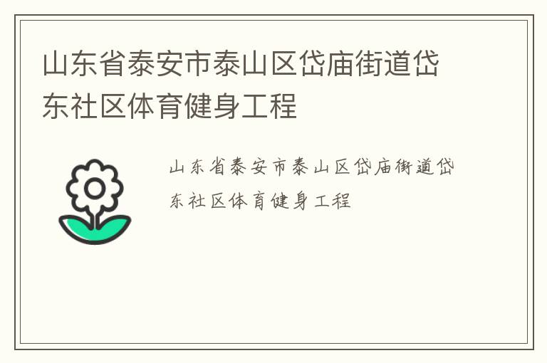 山東省泰安市泰山區岱廟街道岱東社區體育健身工程