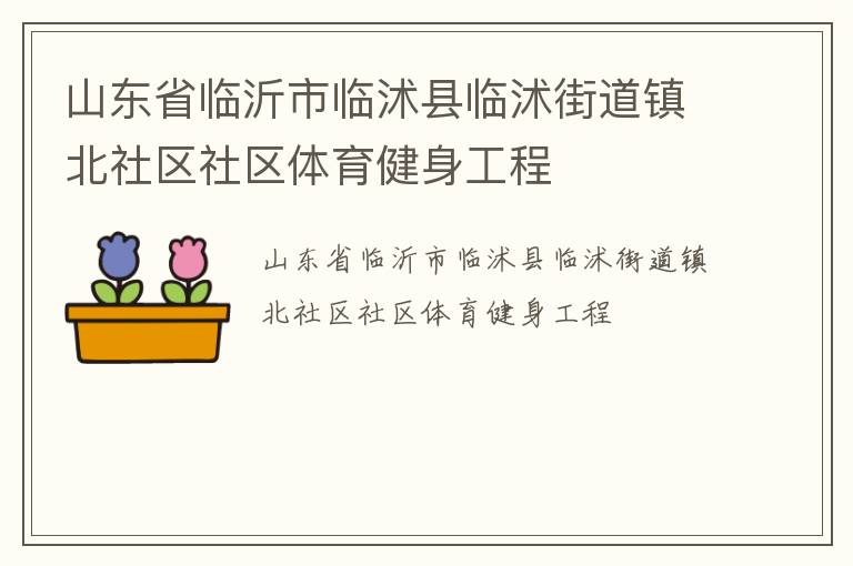 山東省臨沂市臨沭縣臨沭街道鎮北社區社區體育健身工程