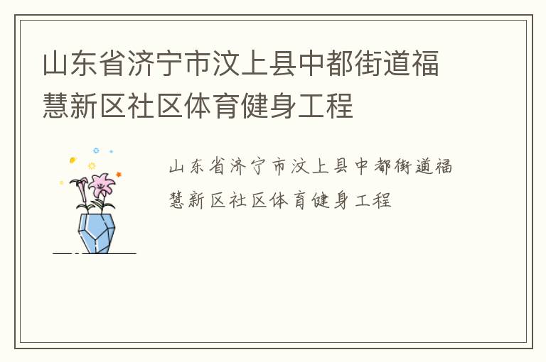 山東省濟(jì)寧市汶上縣中都街道福慧新區(qū)社區(qū)體育健身工程