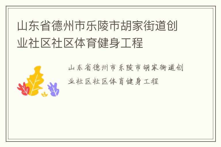 山東省德州市樂陵市胡家街道創業社區社區體育健身工程