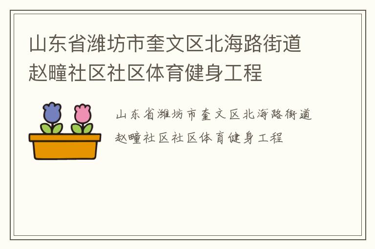 山東省濰坊市奎文區北海路街道趙疃社區社區體育健身工程