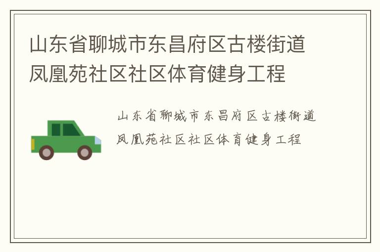 山東省聊城市東昌府區(qū)古樓街道鳳凰苑社區(qū)社區(qū)體育健身工程