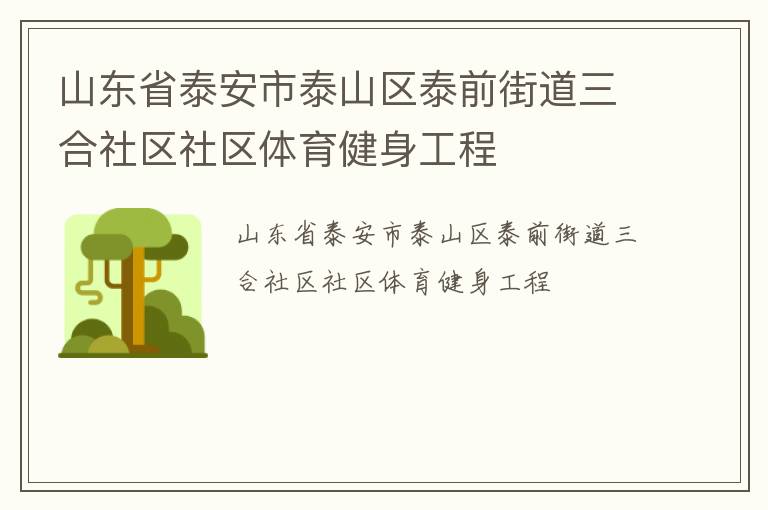 山東省泰安市泰山區泰前街道三合社區社區體育健身工程