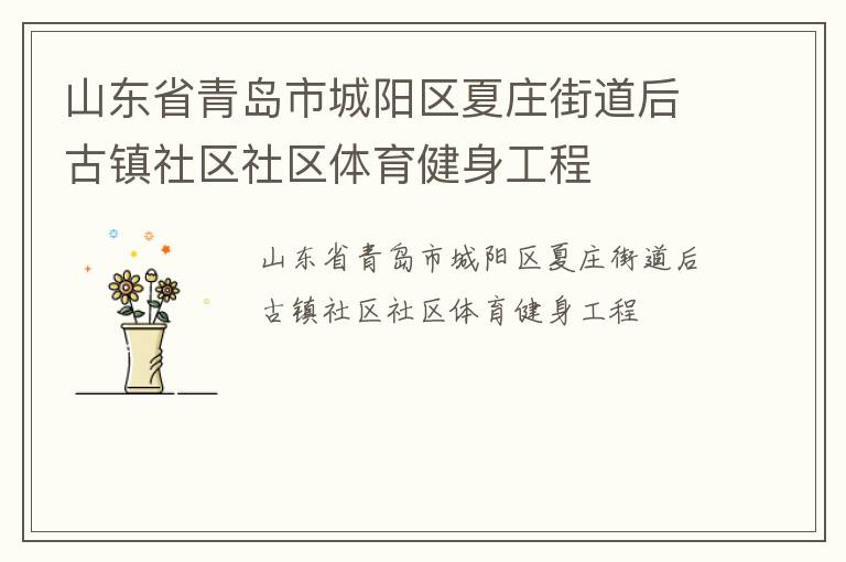 山東省青島市城陽(yáng)區(qū)夏莊街道后古鎮(zhèn)社區(qū)社區(qū)體育健身工程