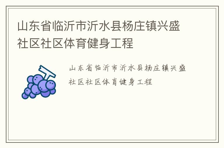 山東省臨沂市沂水縣楊莊鎮興盛社區社區體育健身工程