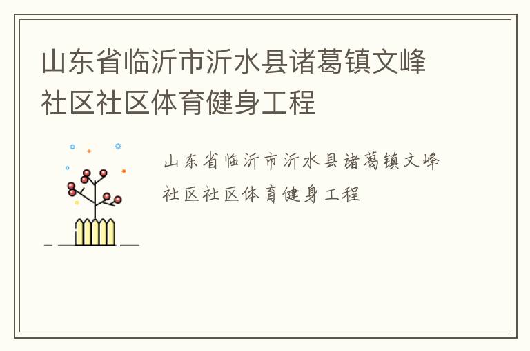 山東省臨沂市沂水縣諸葛鎮文峰社區社區體育健身工程
