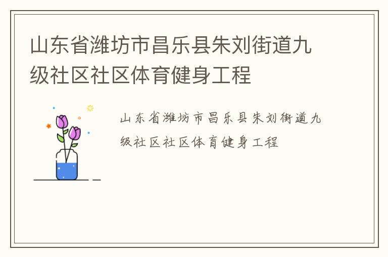 山東省濰坊市昌樂(lè)縣朱劉街道九級(jí)社區(qū)社區(qū)體育健身工程