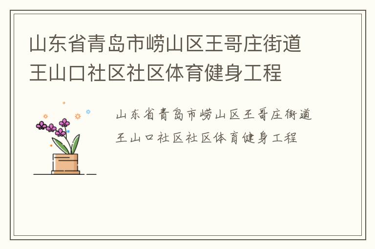 山東省青島市嶗山區(qū)王哥莊街道王山口社區(qū)社區(qū)體育健身工程