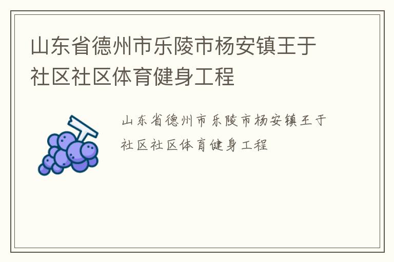 山東省德州市樂陵市楊安鎮王于社區社區體育健身工程