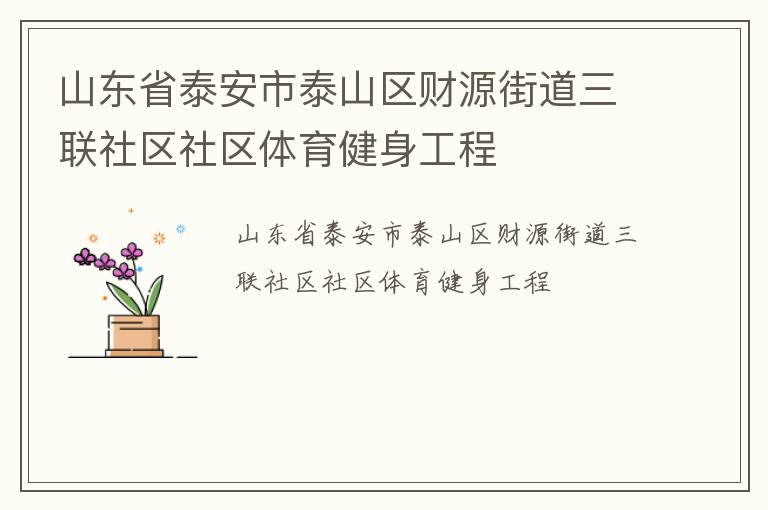 山東省泰安市泰山區(qū)財源街道三聯社區(qū)社區(qū)體育健身工程