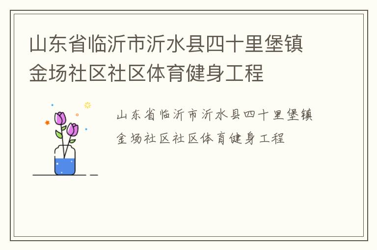 山東省臨沂市沂水縣四十里堡鎮金場社區社區體育健身工程