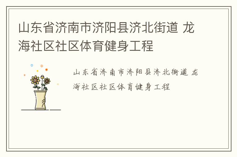 山東省濟南市濟陽縣濟北街道 龍海社區社區體育健身工程