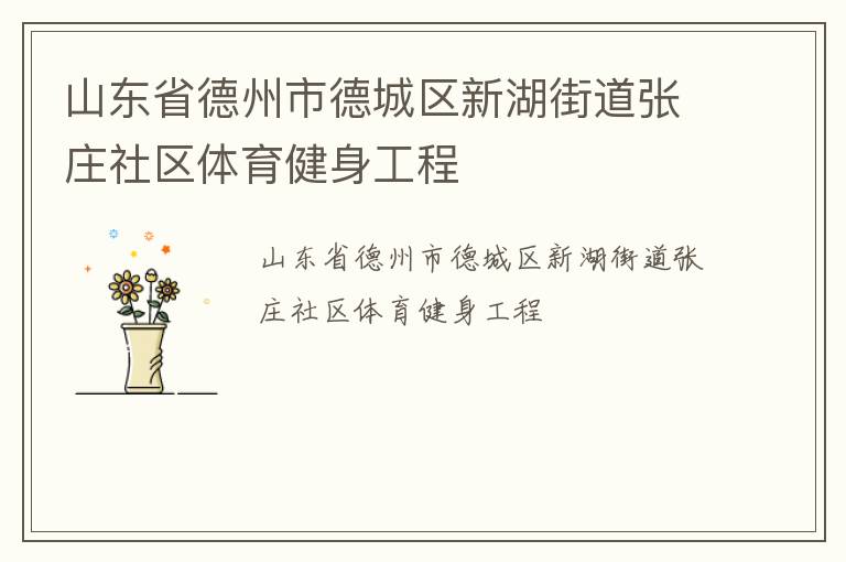 山東省德州市德城區新湖街道張莊社區體育健身工程