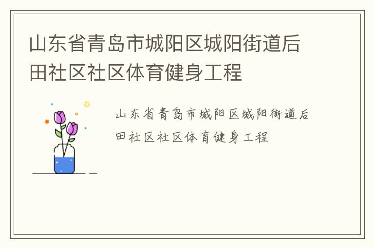 山東省青島市城陽區城陽街道后田社區社區體育健身工程