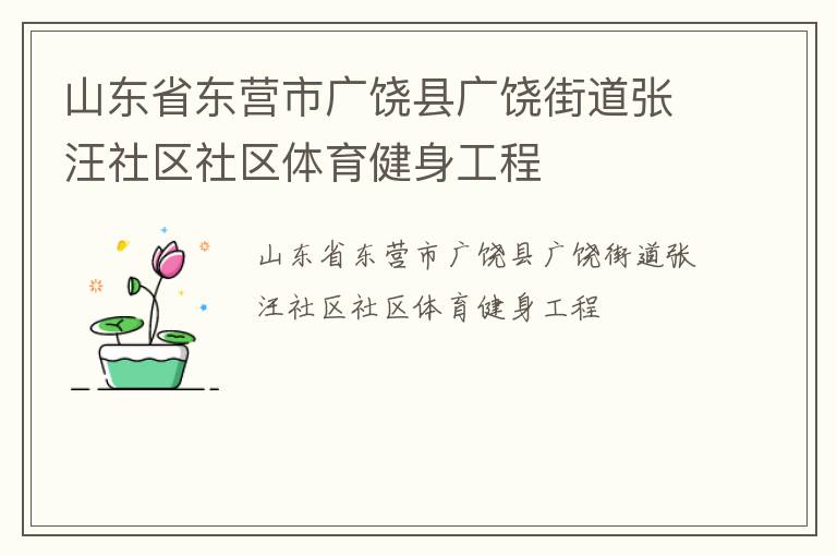 山東省東營市廣饒縣廣饒街道張汪社區社區體育健身工程