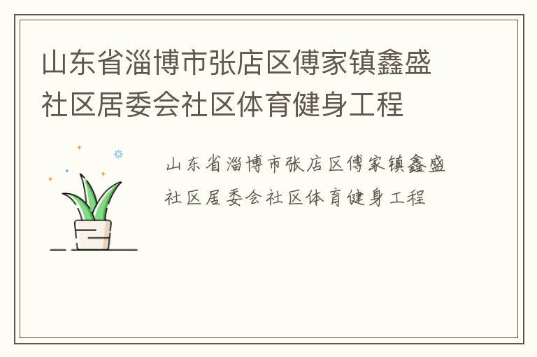 山東省淄博市張店區傅家鎮鑫盛社區居委會社區體育健身工程
