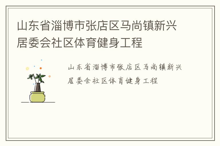 山東省淄博市張店區馬尚鎮新興居委會社區體育健身工程
