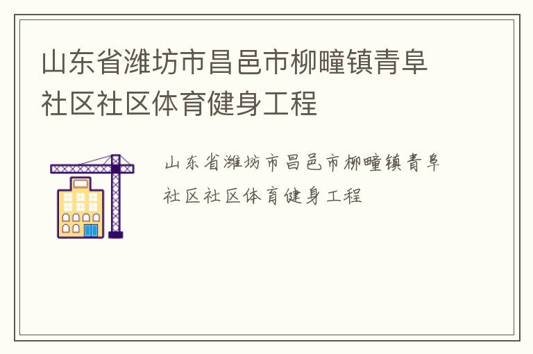 山東省濰坊市昌邑市柳疃鎮(zhèn)青阜社區(qū)社區(qū)體育健身工程