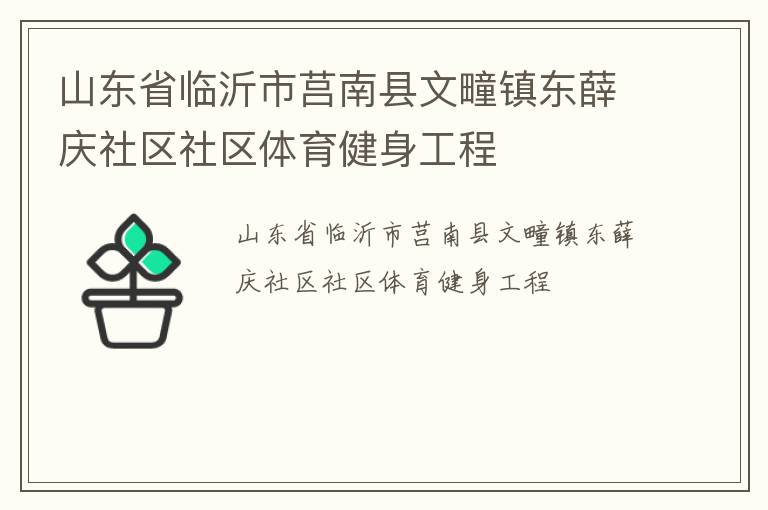 山東省臨沂市莒南縣文疃鎮東薛慶社區社區體育健身工程