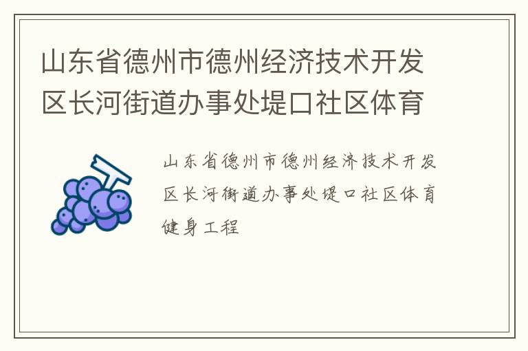 山東省德州市德州經濟技術開發區長河街道辦事處堤口社區體育健身工程