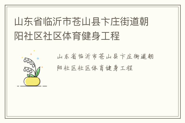 山東省臨沂市蒼山縣卞莊街道朝陽(yáng)社區(qū)社區(qū)體育健身工程