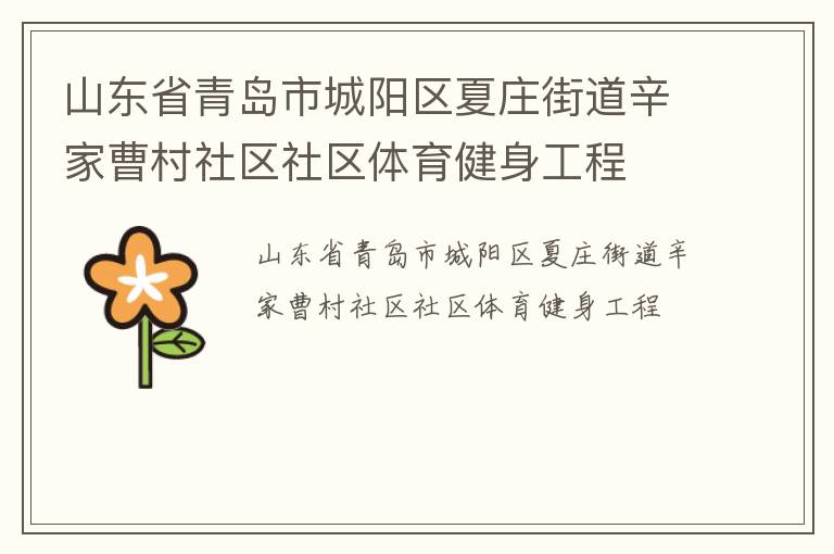 山東省青島市城陽區夏莊街道辛家曹村社區社區體育健身工程