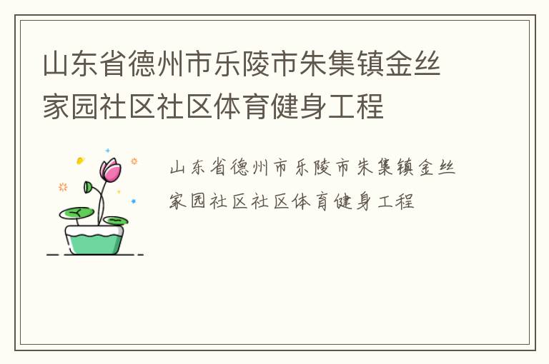 山東省德州市樂陵市朱集鎮金絲家園社區社區體育健身工程