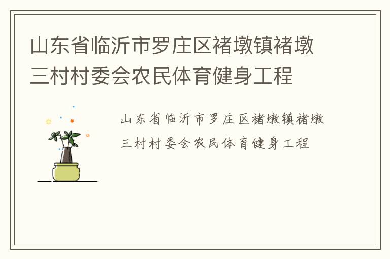山東省臨沂市羅莊區褚墩鎮褚墩三村村委會農民體育健身工程