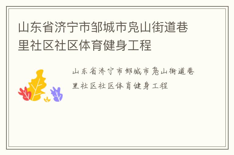 山東省濟寧市鄒城市鳧山街道巷里社區社區體育健身工程