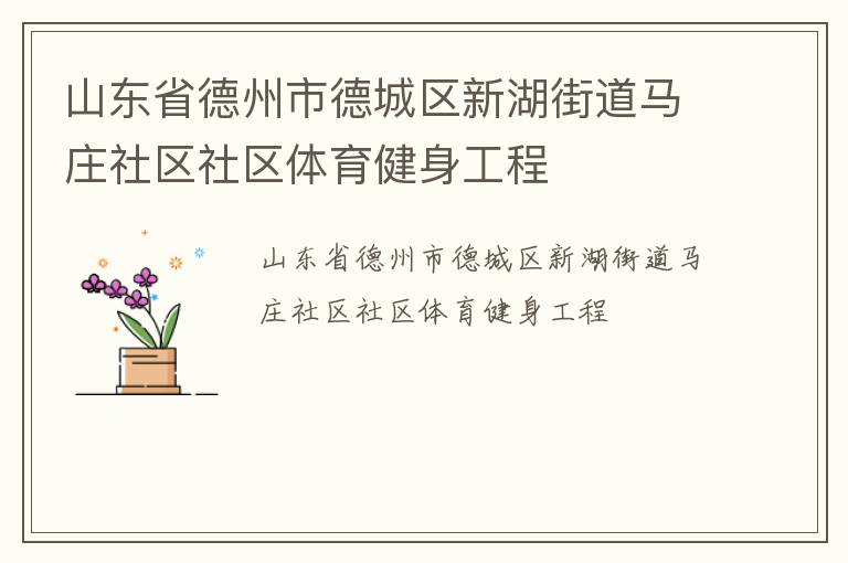 山東省德州市德城區新湖街道馬莊社區社區體育健身工程