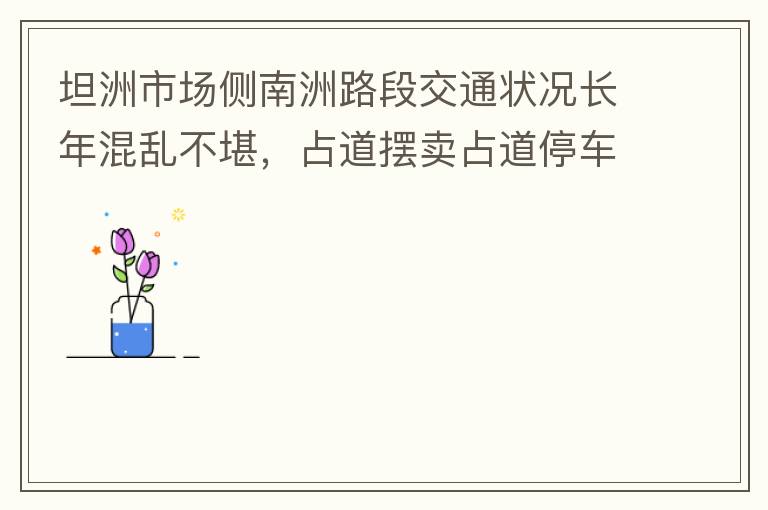 坦洲市場側(cè)南洲路段交通狀況長年混亂不堪，占道擺賣占道停車嚴(yán)重，時有機動車逆行，非機動車更是隨意逆行，順行機動車與非機動車混行緩慢，沒各行其道。南洲路與大興路平交路口沒有規(guī)劃好，交通擁堵是常態(tài)，即時有交