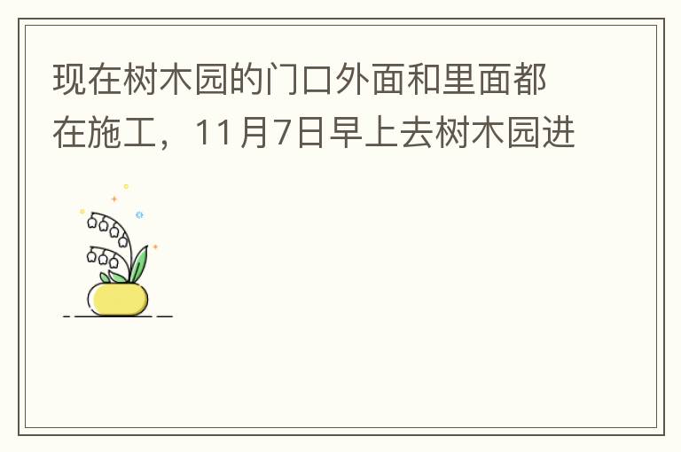 現在樹木園的門口外面和里面都在施工，11月7日早上去樹木園進行戶外活動，在出入口都是非常大的灰塵，有挖掘機等機械在施工，但是周圍都是灰塵，施工方沒有做好防塵措施，而且我們走的時候，竟然還有一個人拿著掃