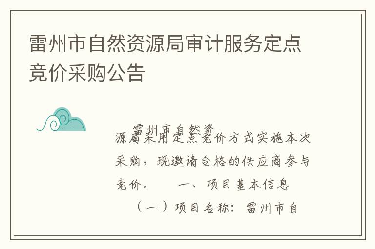 雷州市自然資源局審計服務(wù)定點競價采購公告