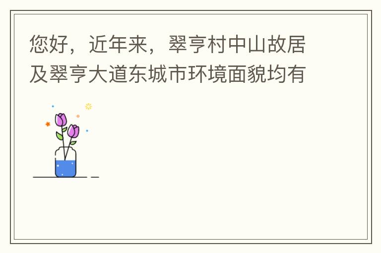 您好，近年來，翠亨村中山故居及翠亨大道東城市環(huán)境面貌均有所提升。但周邊環(huán)境仍然不夠理想，稍顯臟亂差，與5A風(fēng)景區(qū)的定位不相協(xié)調(diào)，望繼續(xù)盡快改善為宜。多謝