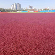 混合型塑膠跑道 環保塑膠跑道 操場塑膠跑道 塑膠跑道建設 塑膠跑道價格