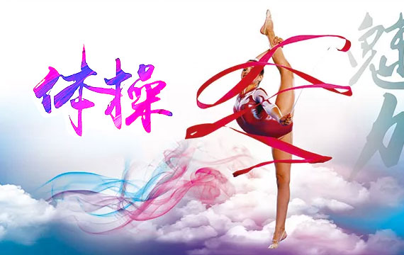 2017年北京市青少年體操錦標賽