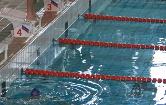 北京市第十五屆運動會跳水比賽