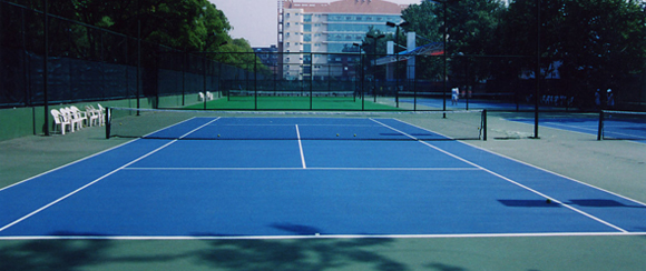 <a href=http://www.cnzcn.net.cn target=_blank class=infotextkey>丙烯酸</a>球場廠家