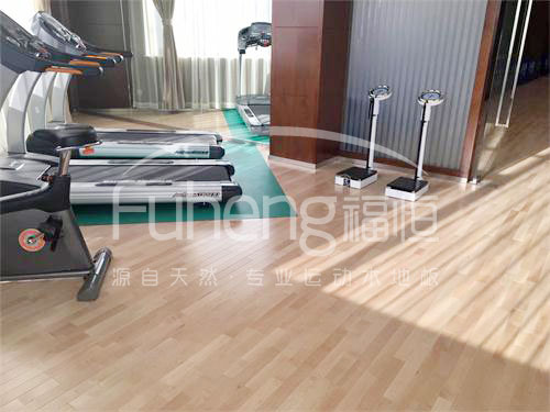 <a href=http://www.cnzcn.net.cn target=_blank class=infotextkey>健身</a>房木地板-10fd