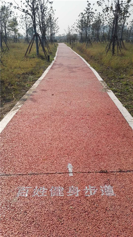 長興生態廊道G40大轉盤健身步道