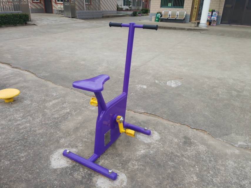 雙位健身車