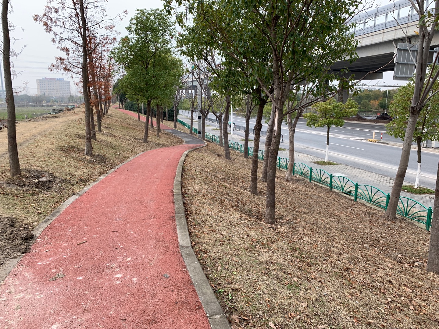 嘉閔高架綠化帶東側健身步道