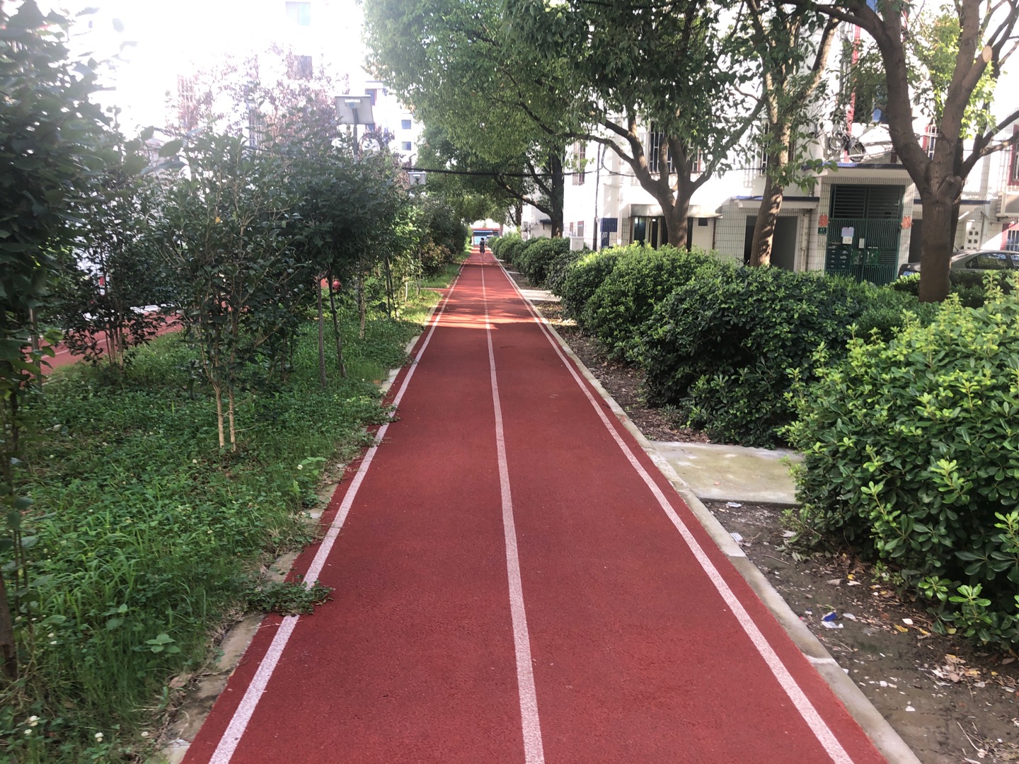 鄔橋居委健身步道