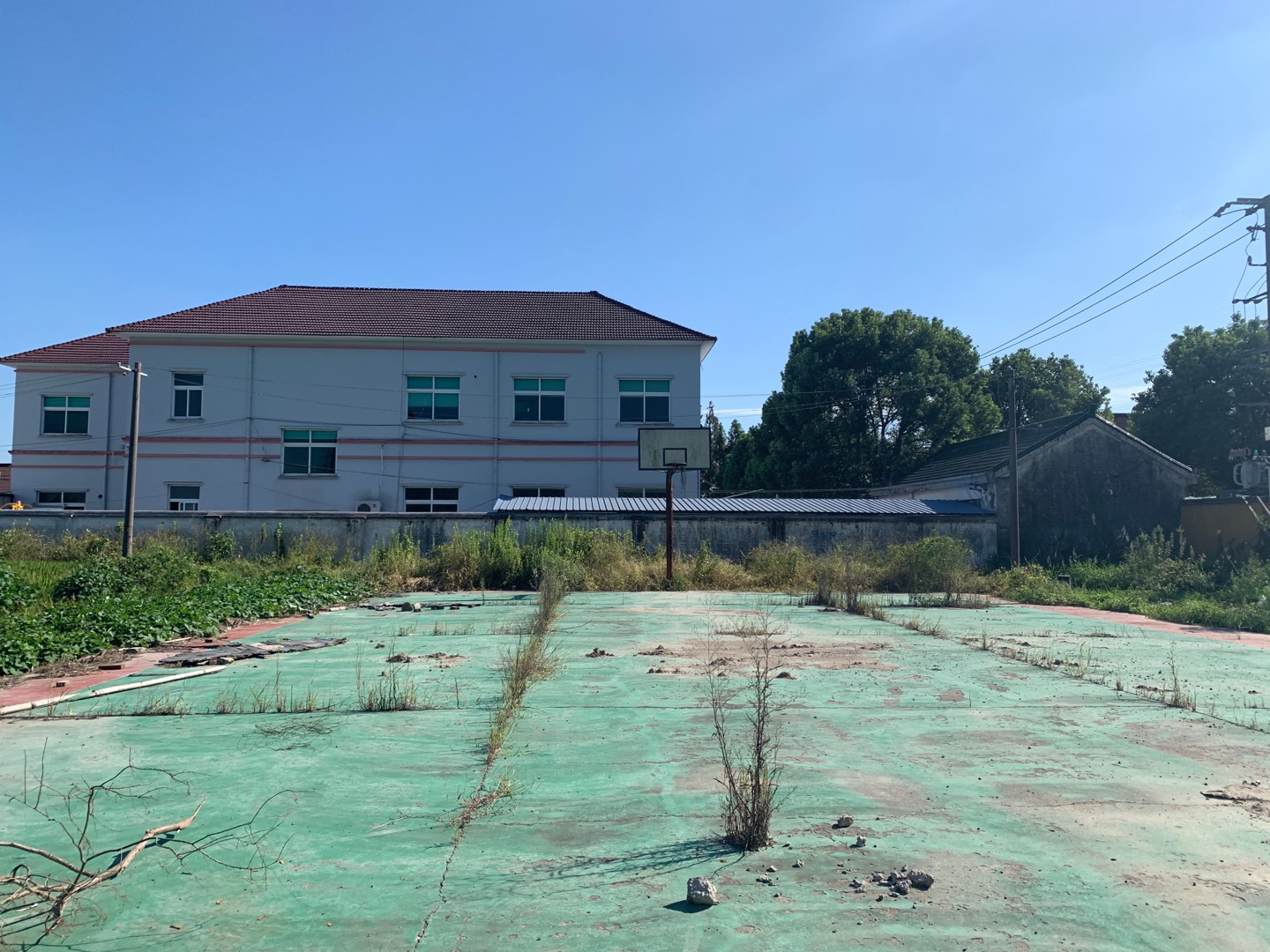 慧農村籃球場
