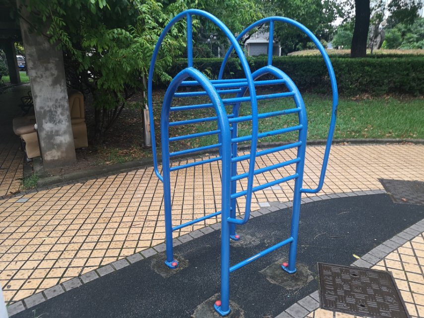 伸背器
