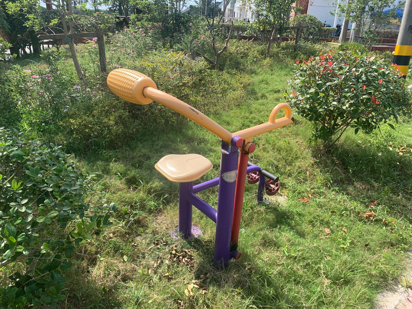 腹背訓練器