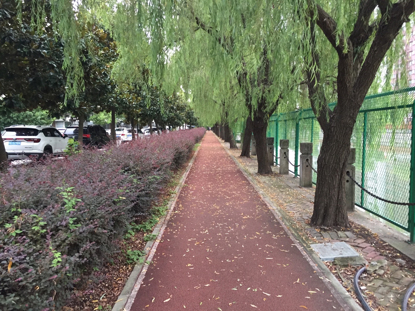 泖溪小區健身步道