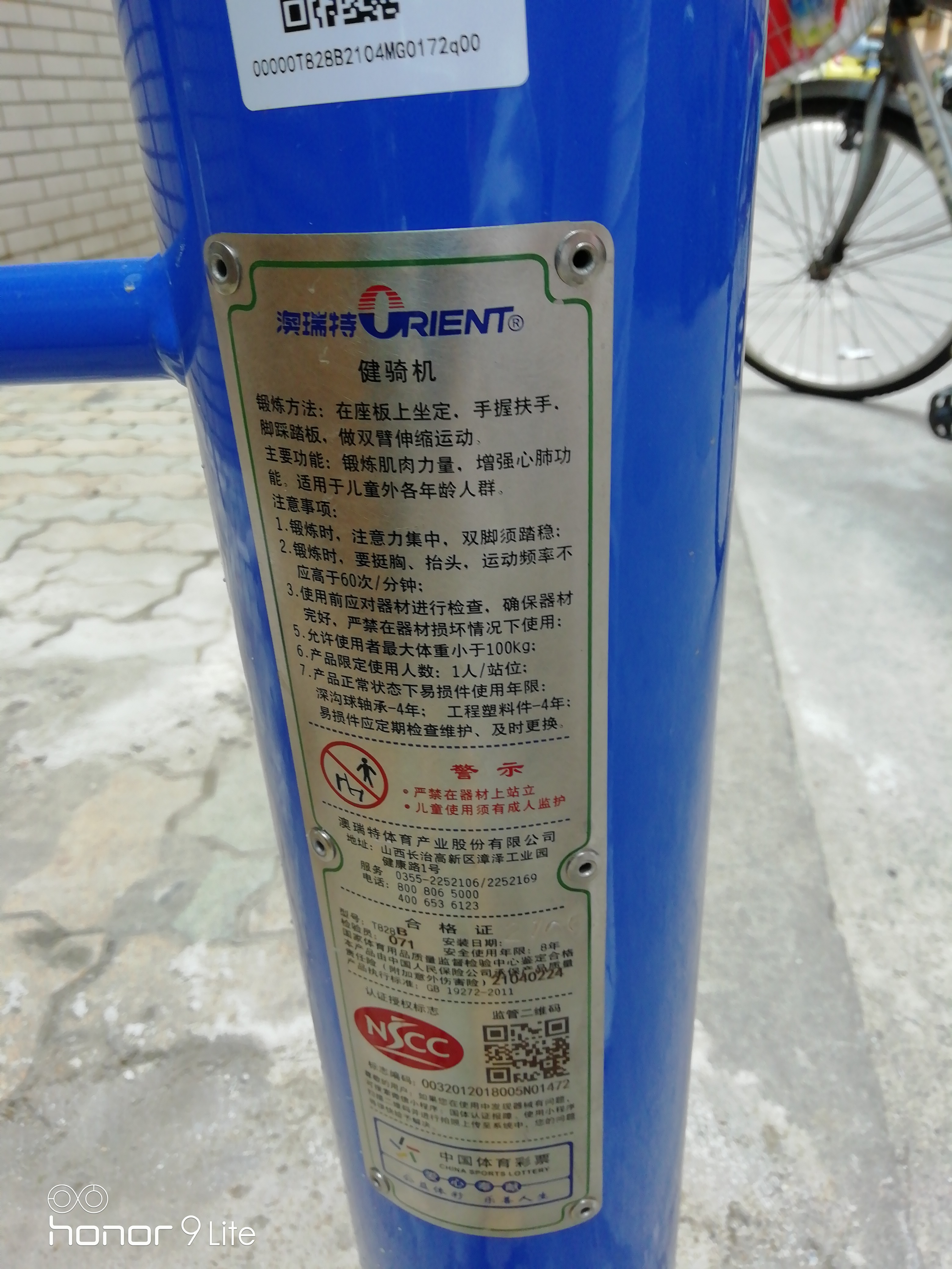 腰力訓練器