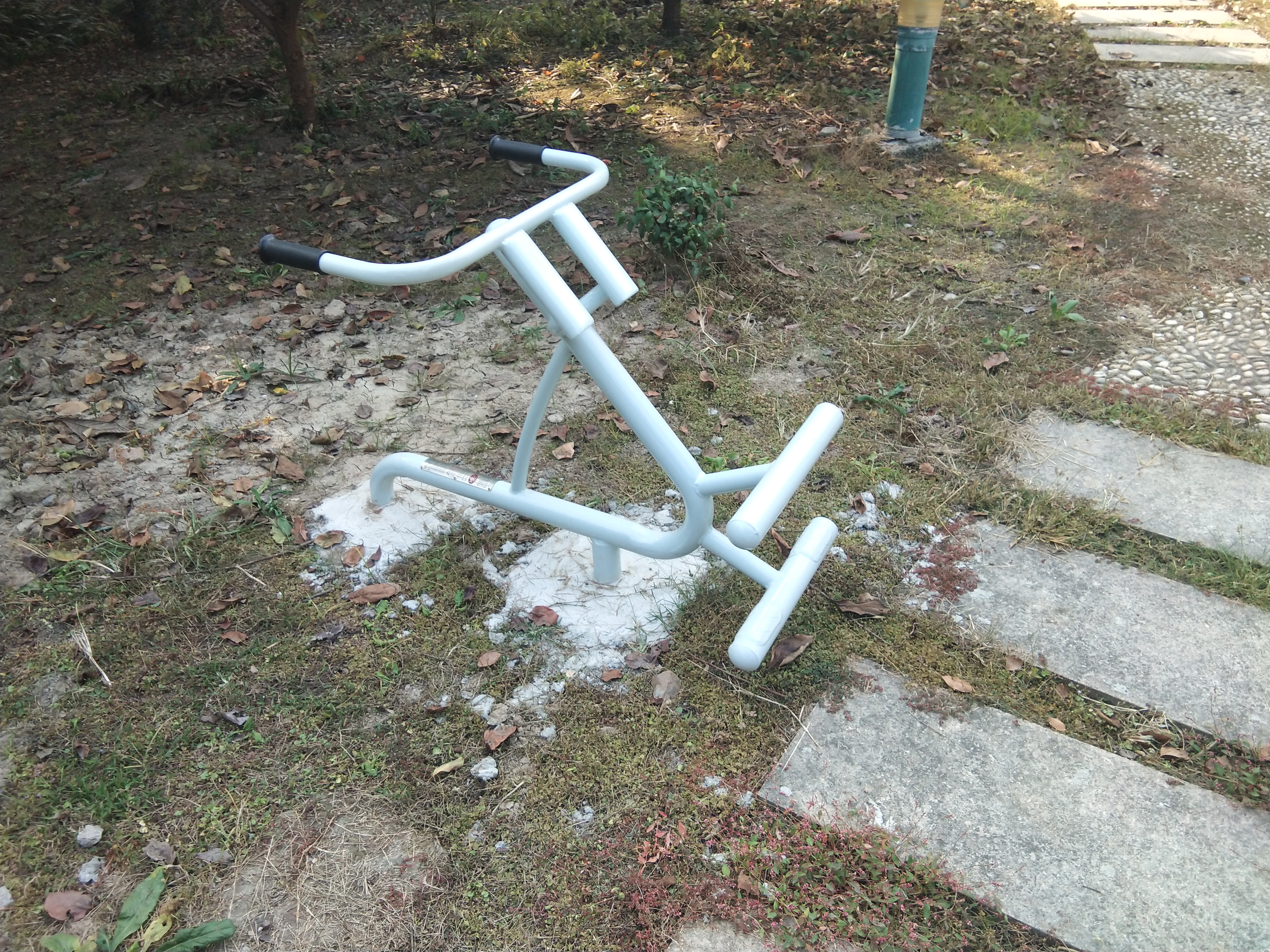 背肌訓練器