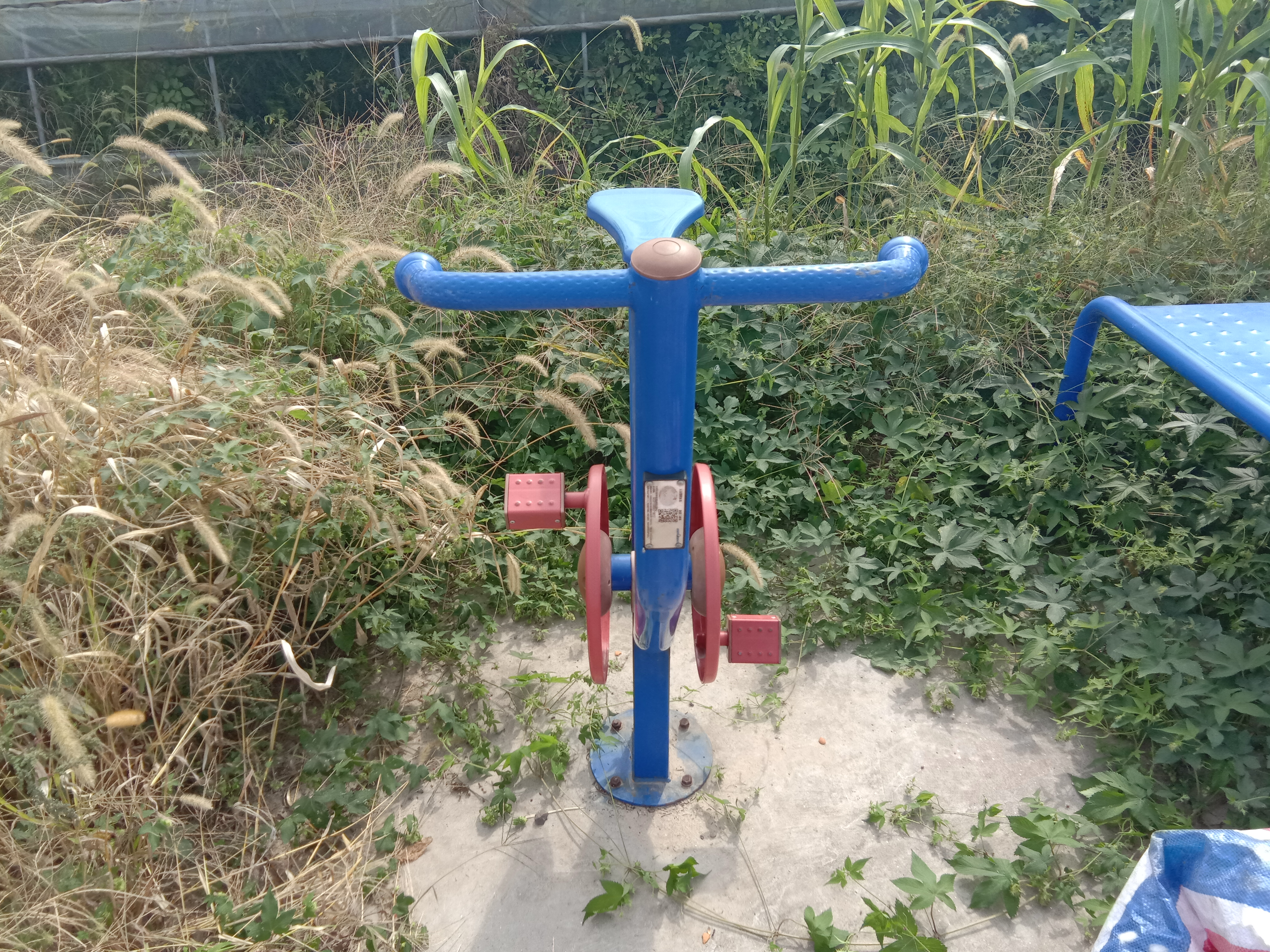 直立健身車